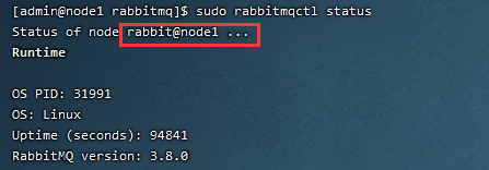 RabbitMQ 集群状态